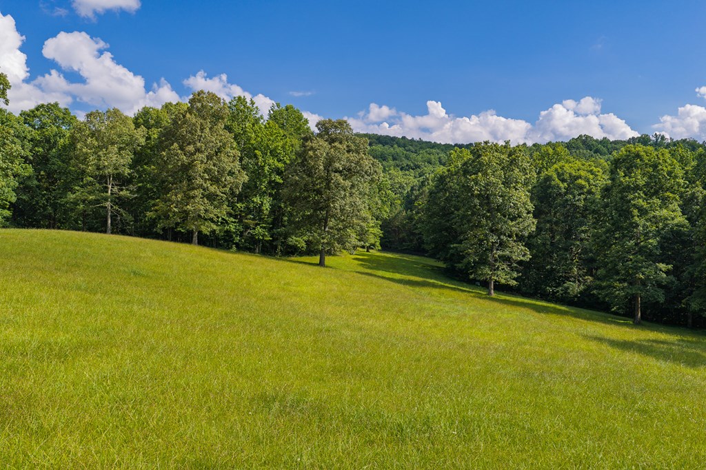 196 Creek Camp Road