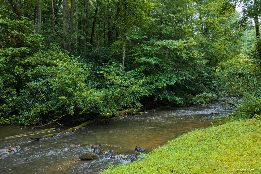 196 Creek Camp Road