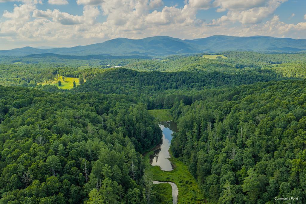 196 Creek Camp Road