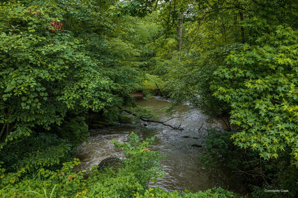 196 Creek Camp Road