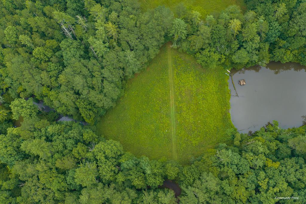 196 Creek Camp Road