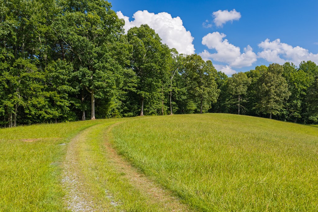 196 Creek Camp Road