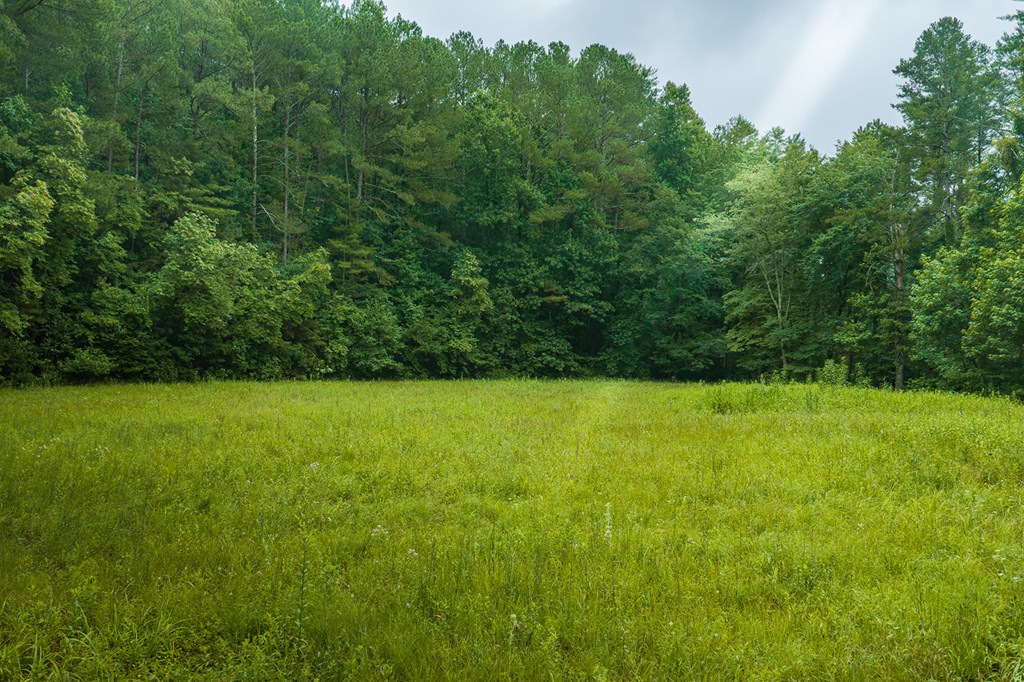 196 Creek Camp Road