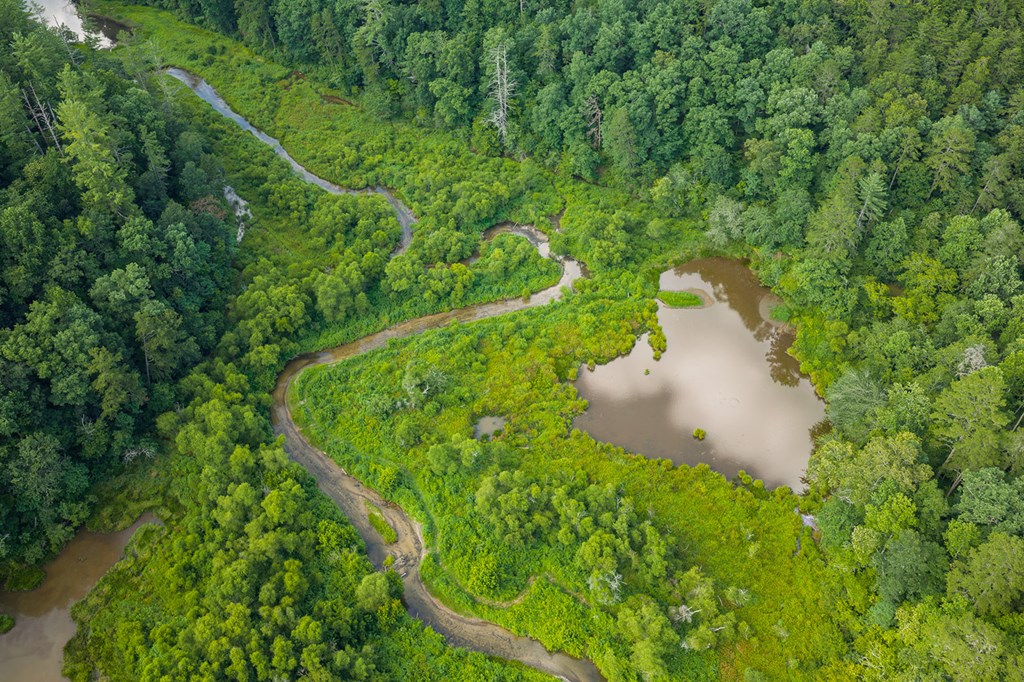 196 Creek Camp Road