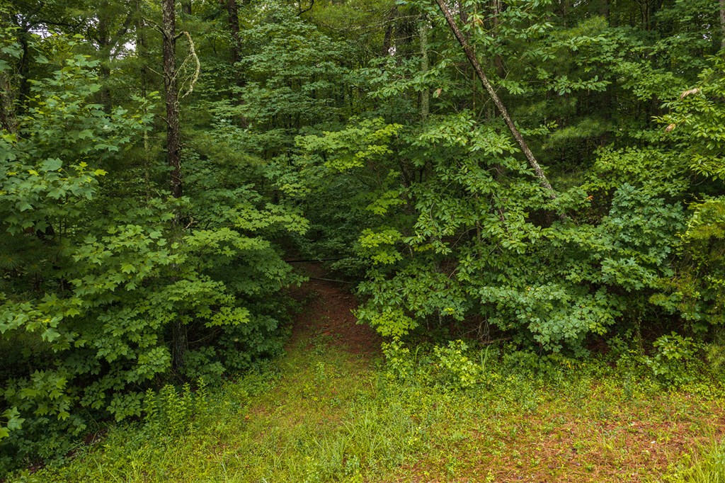 196 Creek Camp Road