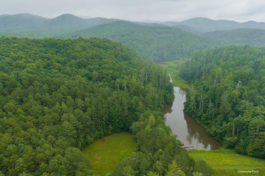 196 Creek Camp Road