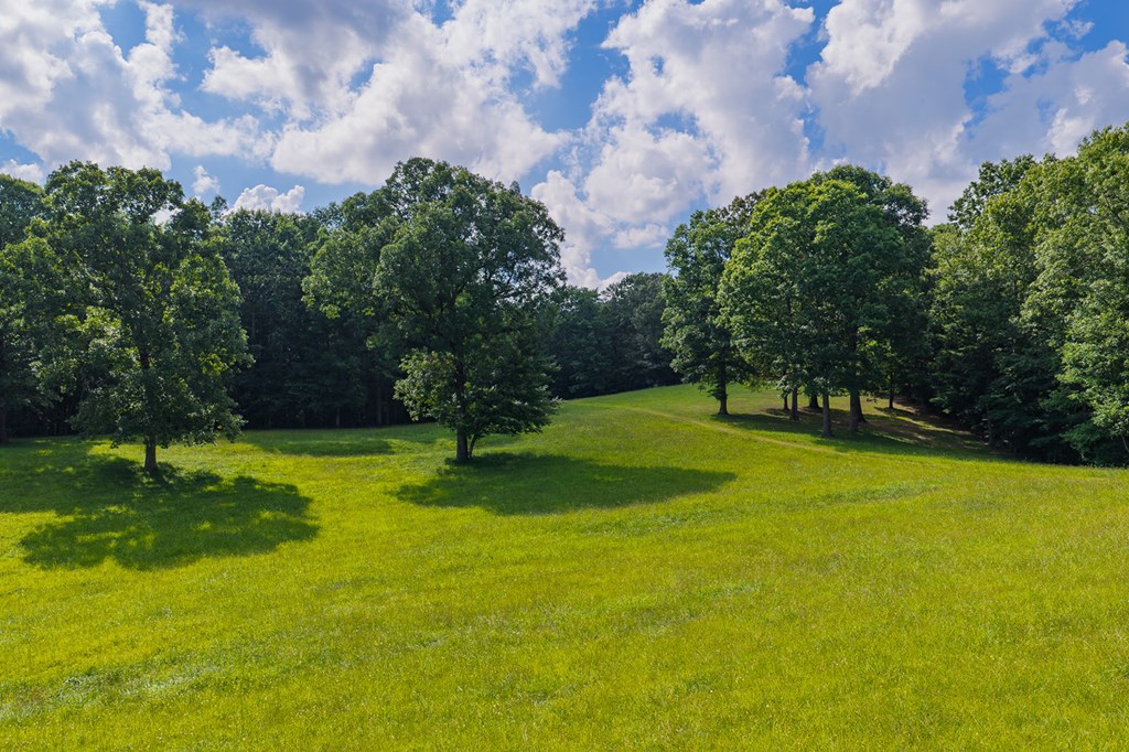 196 Creek Camp Road