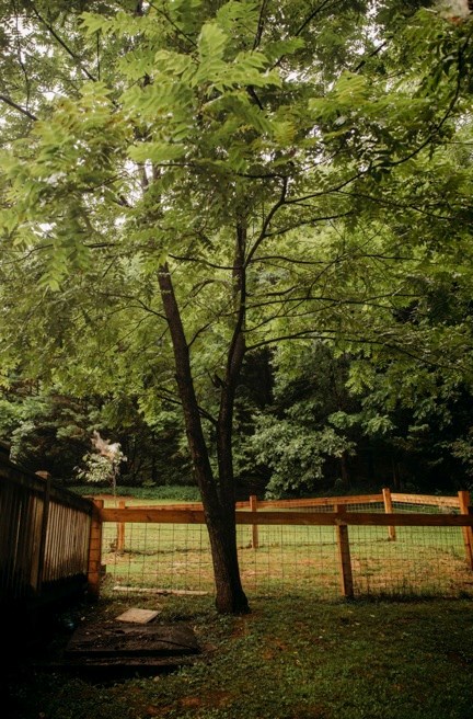 200 Old Woodring Road