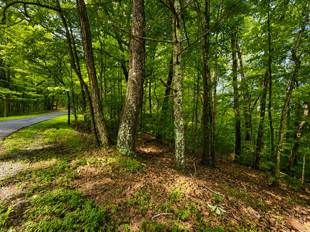 J208 Pine Ridge Road