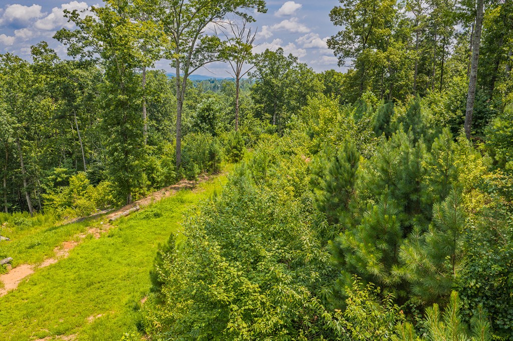 Lot 166 Pinnacle Drive