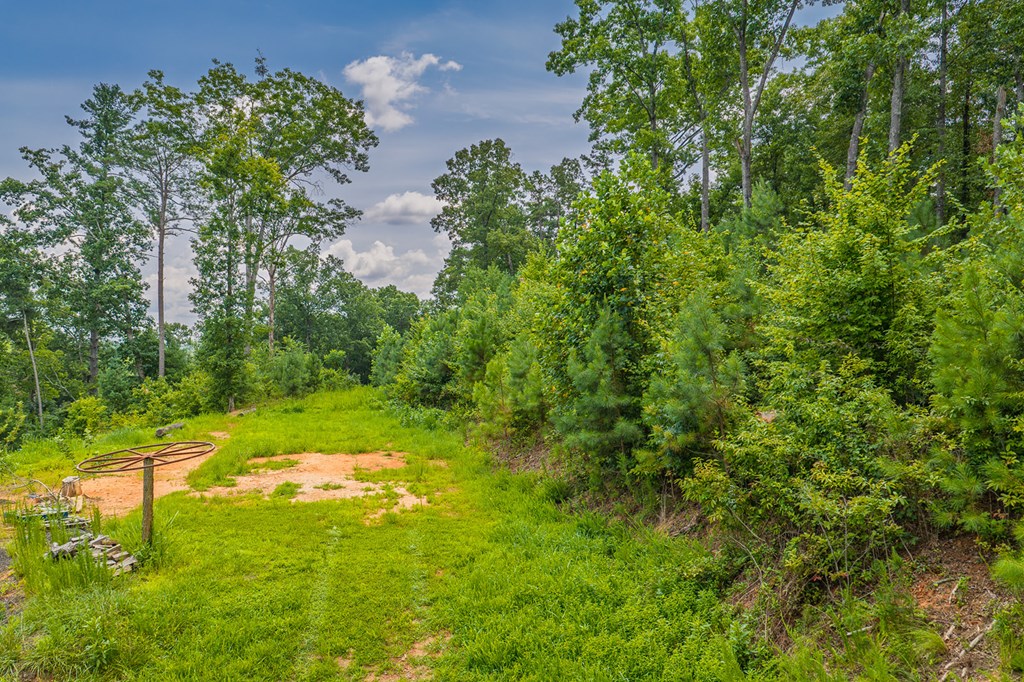 Lot 166 Pinnacle Drive