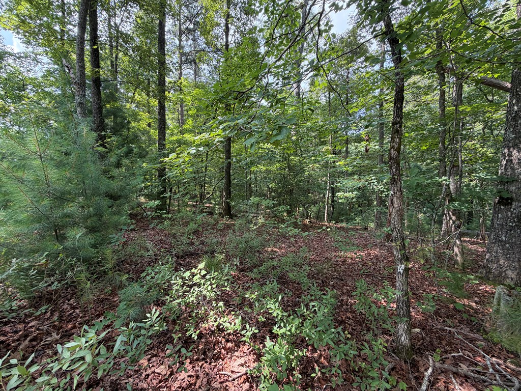 Lot 166 Pinnacle Drive