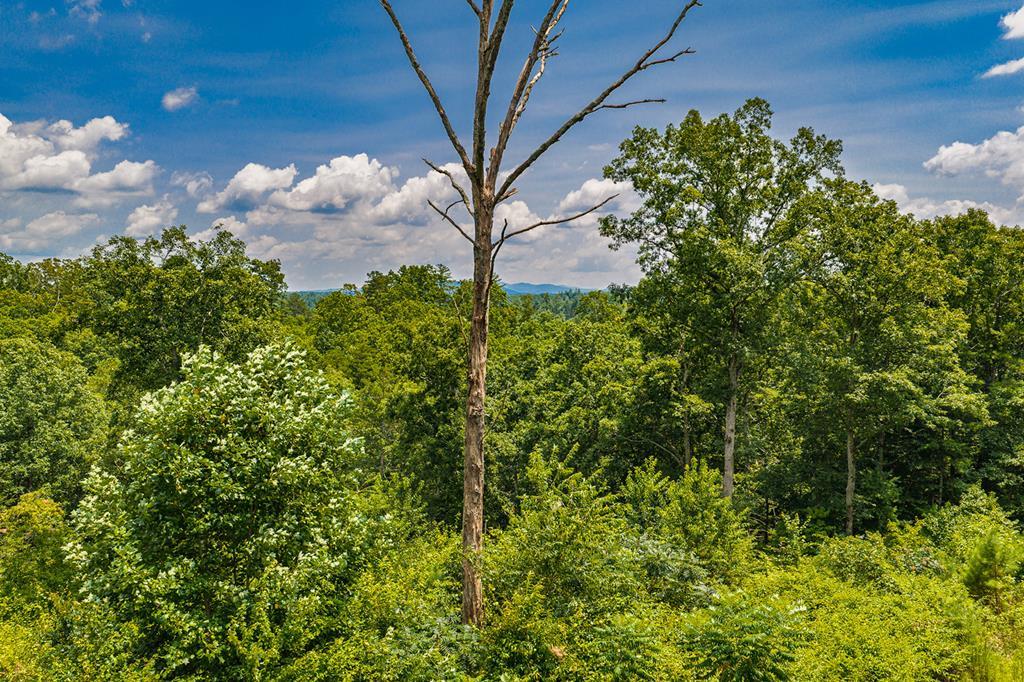 Lot 166 Pinnacle Drive