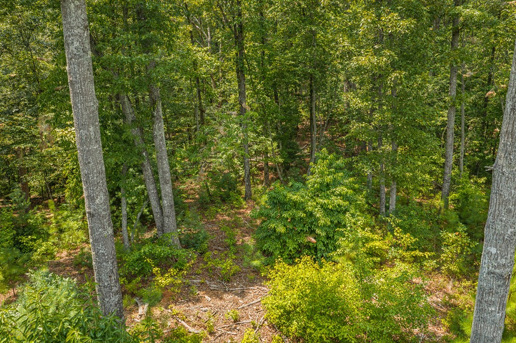 Lot 166 Pinnacle Drive