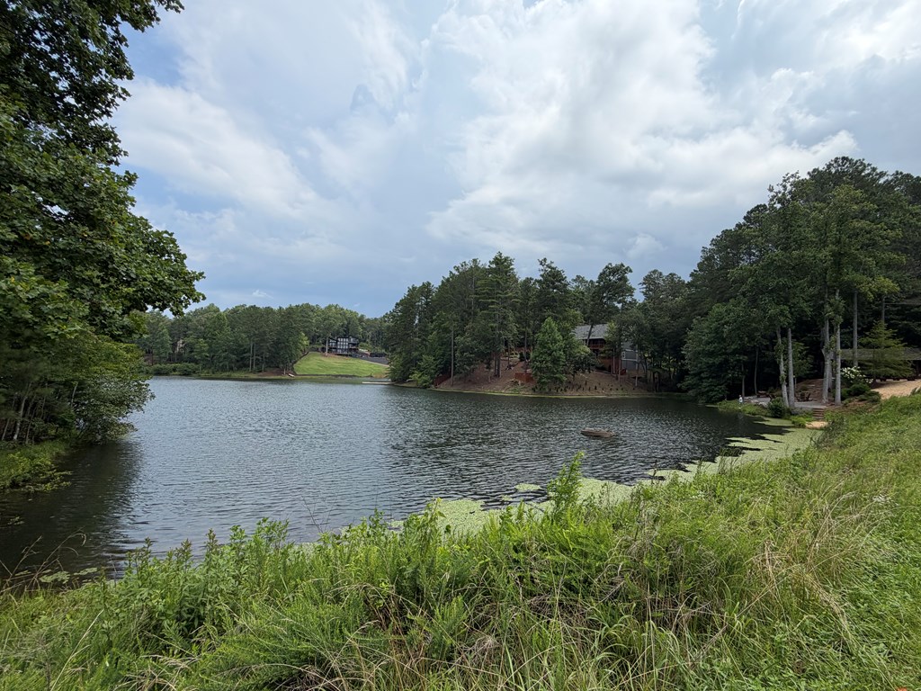 Lot 166 Pinnacle Drive