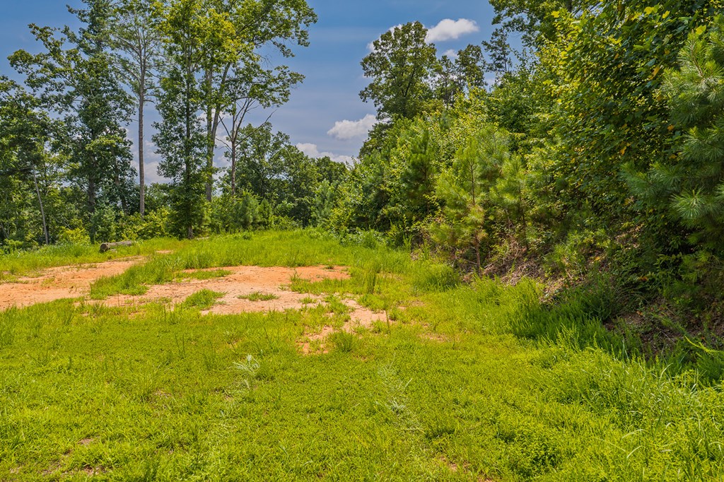 Lot 166 Pinnacle Drive