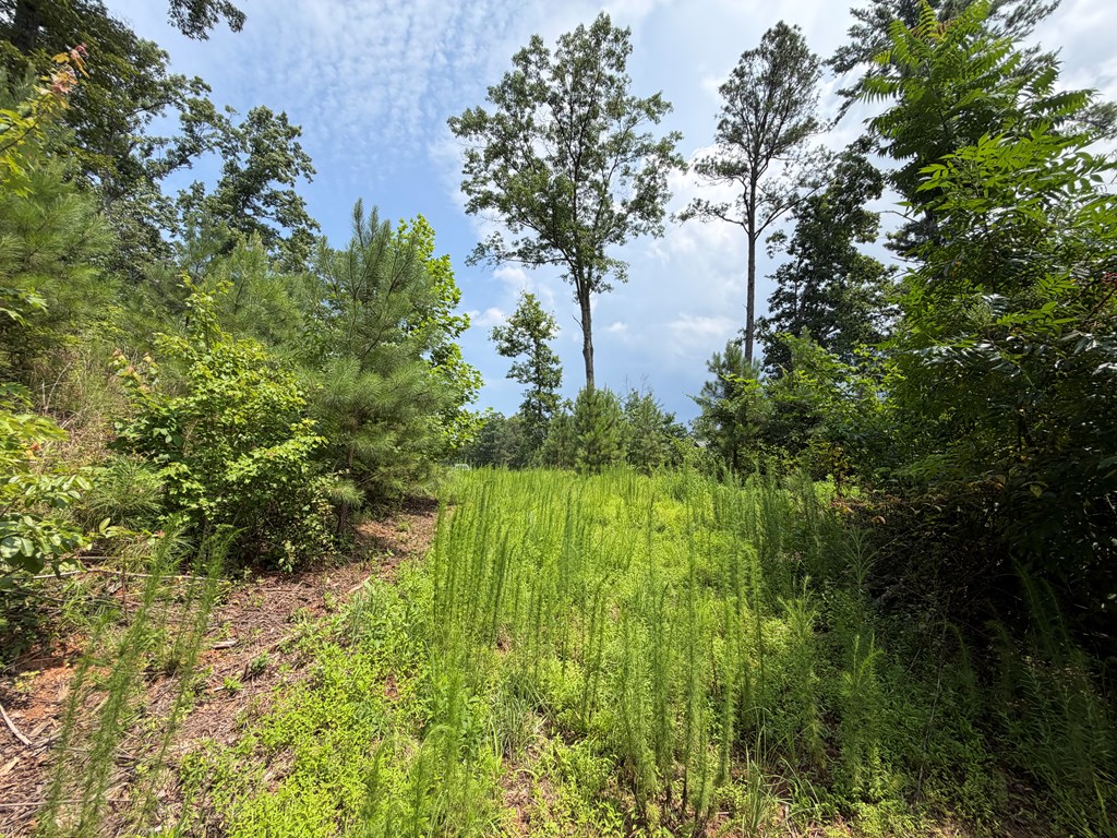 Lot 166 Pinnacle Drive