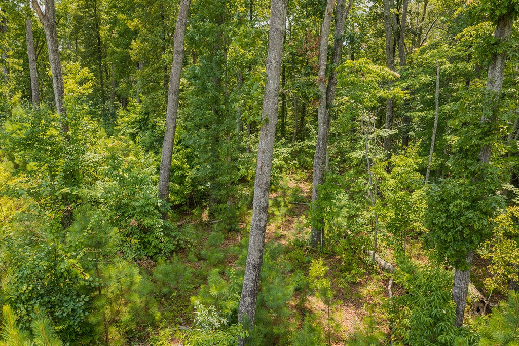Lot 166 Pinnacle Drive
