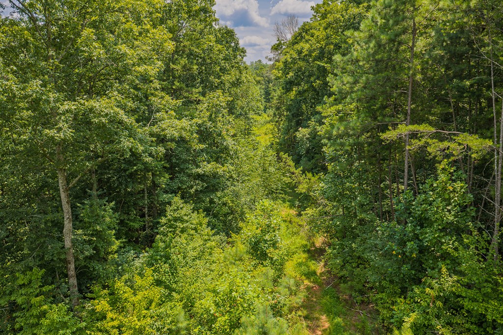 Lot 166 Pinnacle Drive