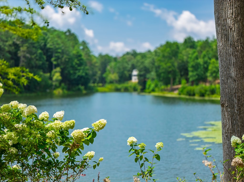 Lot 166 Pinnacle Drive