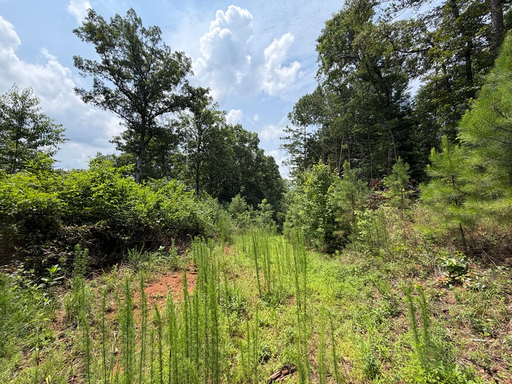 Lot 166 Pinnacle Drive