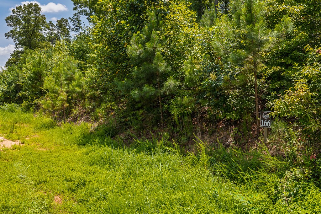Lot 166 Pinnacle Drive