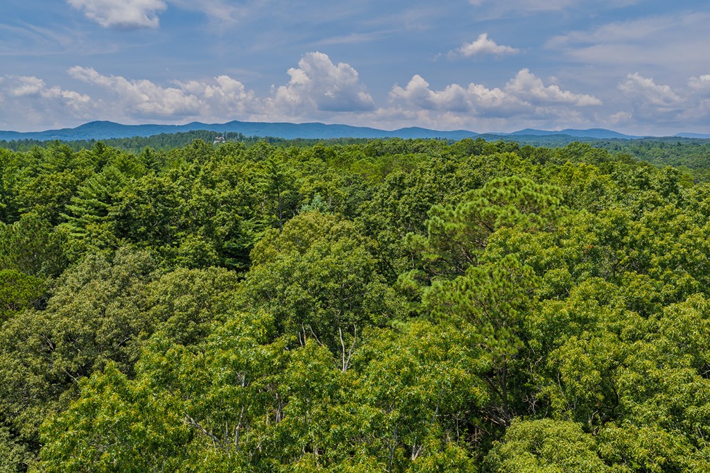 Lot 166 Pinnacle Drive