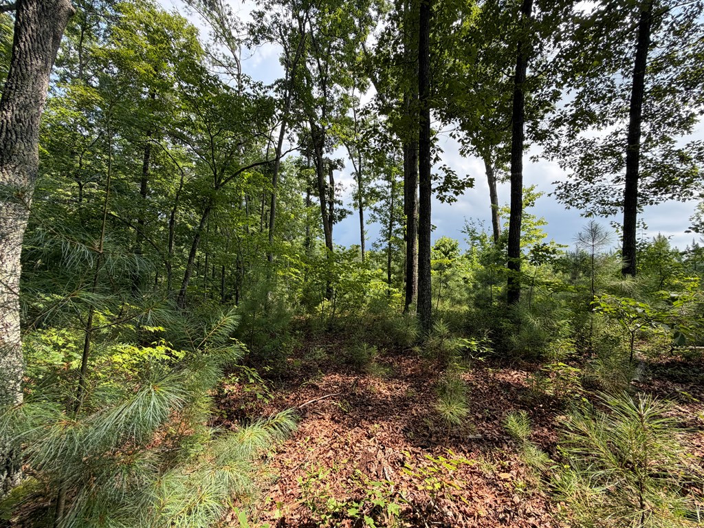 Lot 166 Pinnacle Drive