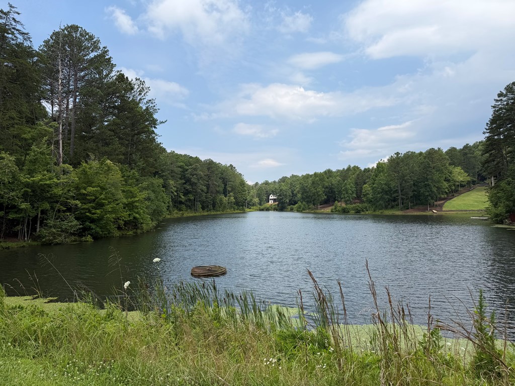 Lot 166 Pinnacle Drive