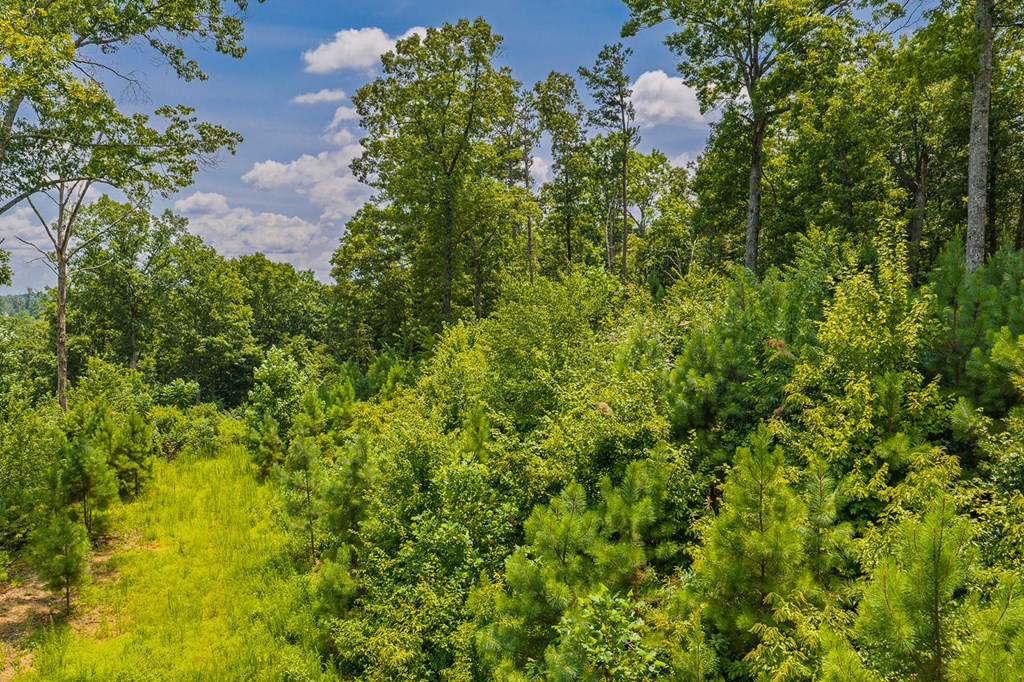 Lot 166 Pinnacle Drive