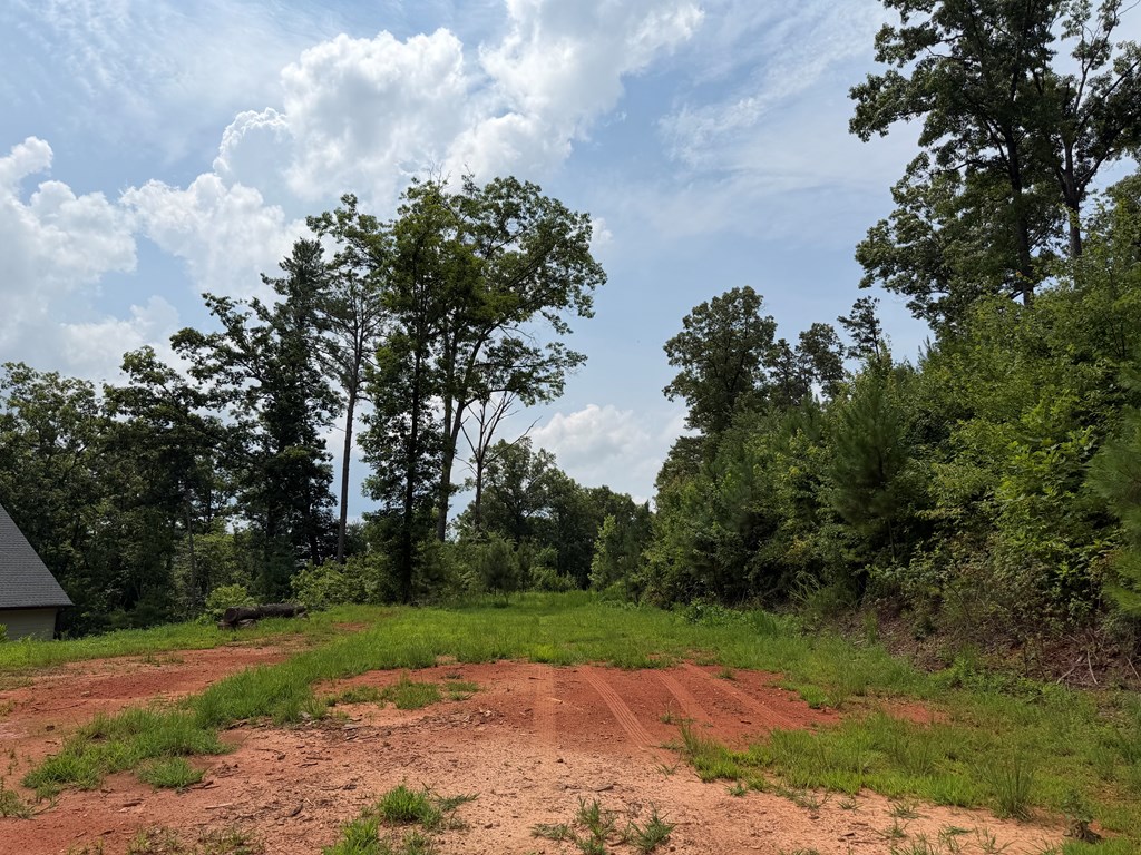 Lot 166 Pinnacle Drive