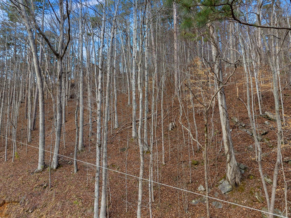 Lot 2965 Monticello Drive