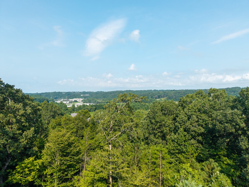 313 Jeff Drive