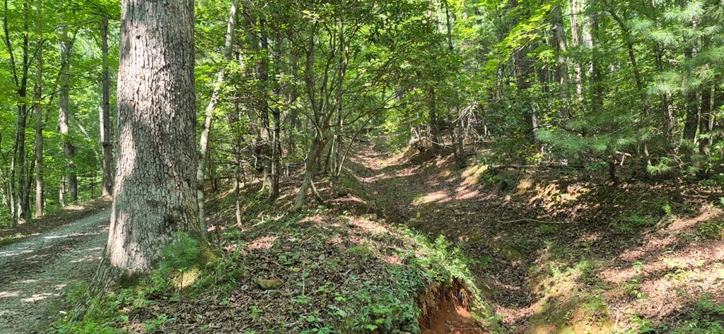 3.4 acre Peach Lane