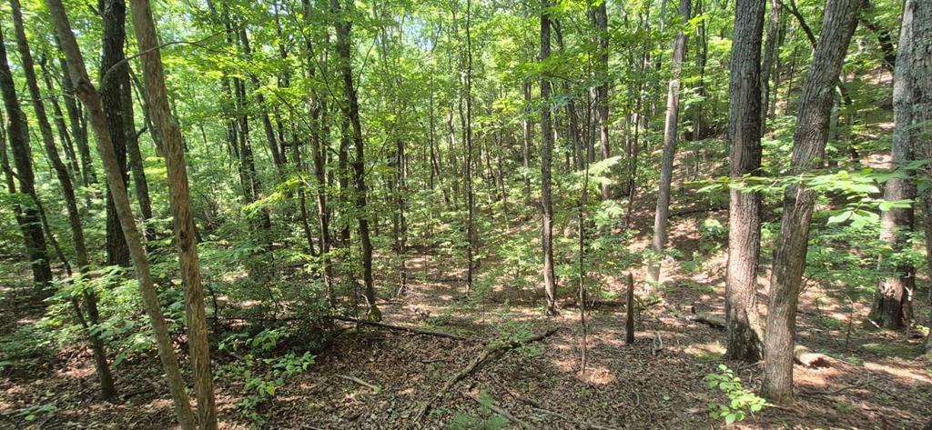 3.4 acre Peach Lane