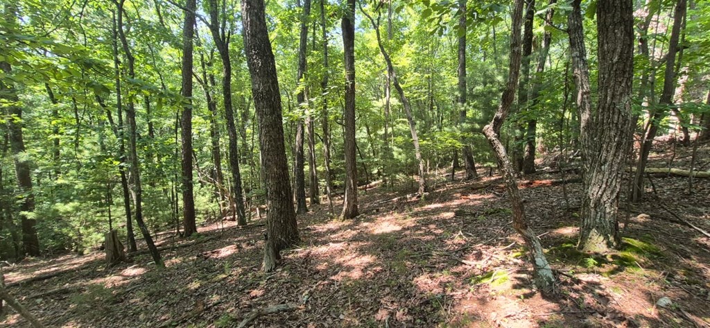 3.4 acre Peach Lane