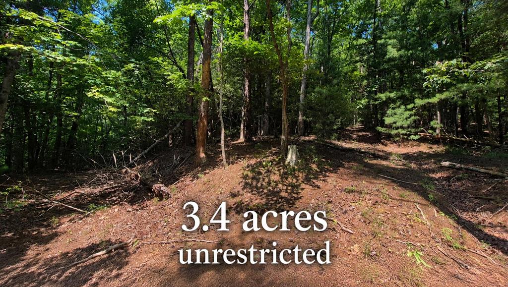 3.4 acre Peach Lane