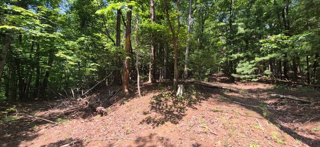 3.4 acre Peach Lane