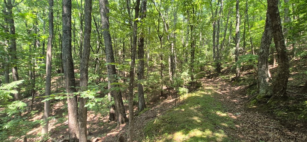 3.4 acre Peach Lane