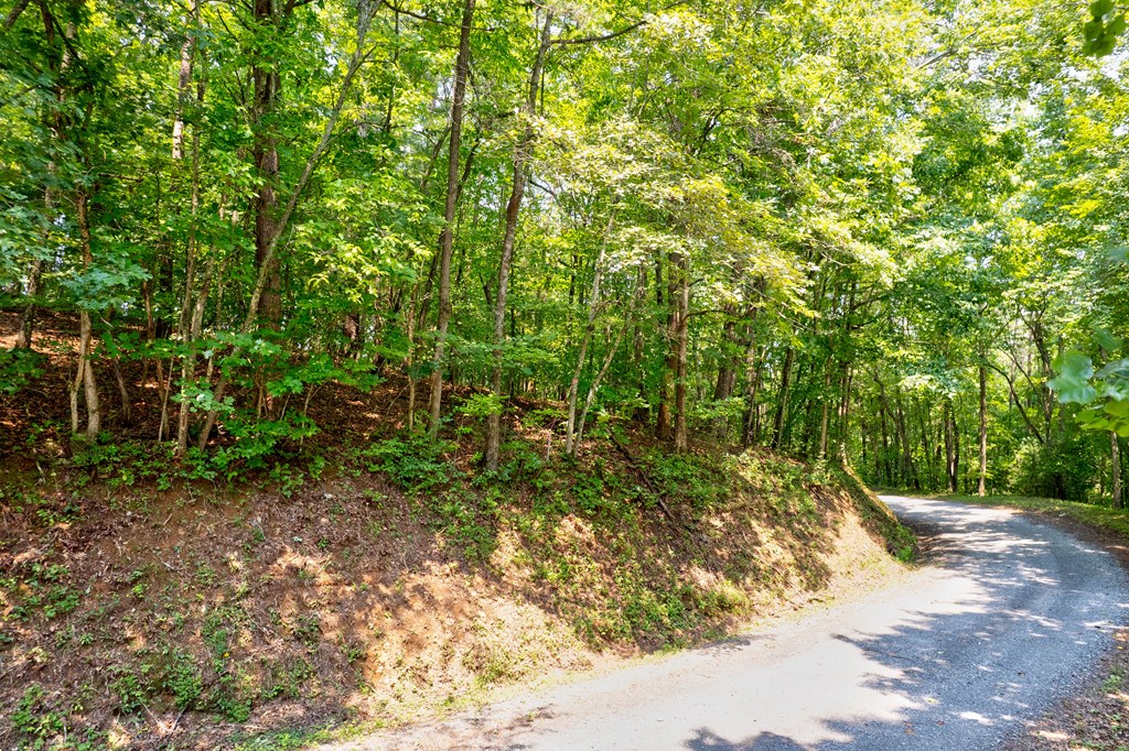 0 Shady Lane