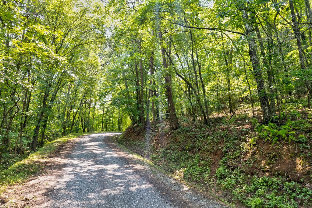 0 Shady Lane