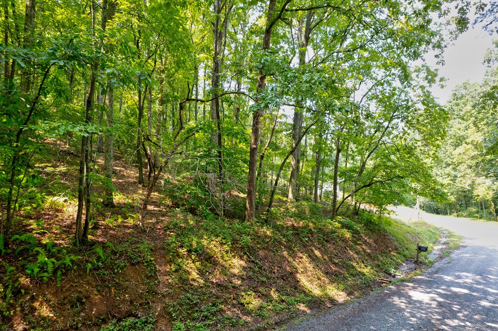 0 Shady Lane