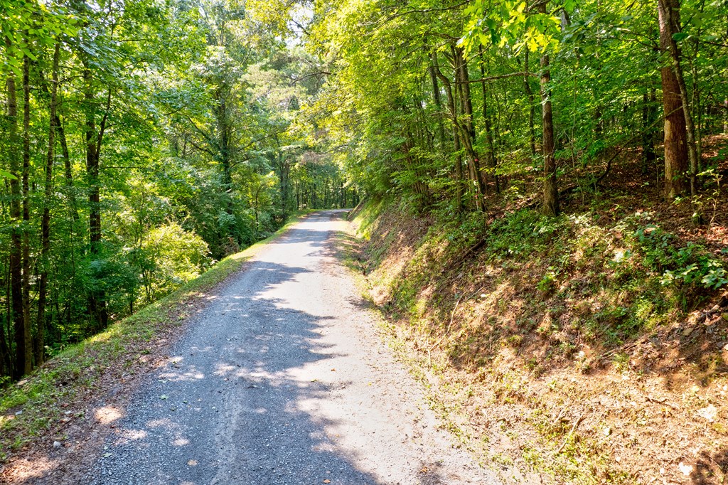 0 Shady Lane