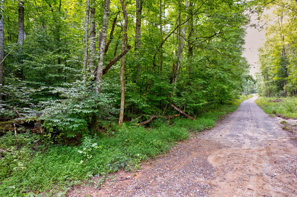 0 Wolf Pen Trail