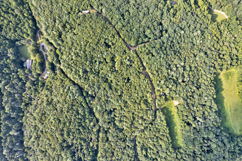 0 Wolf Pen Trail