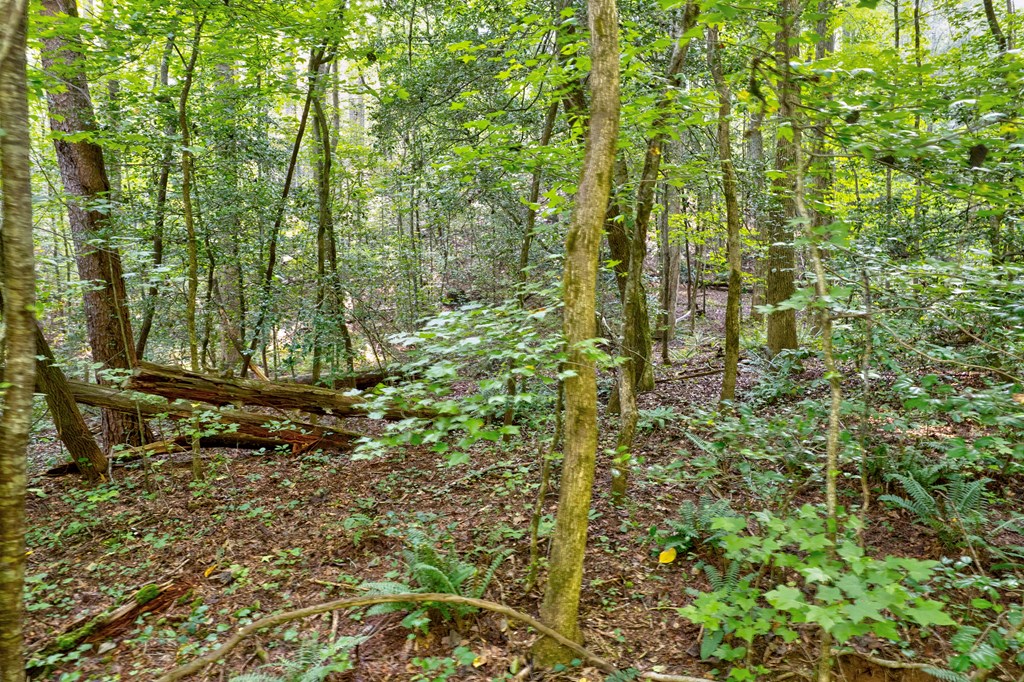 0 Wolf Pen Trail