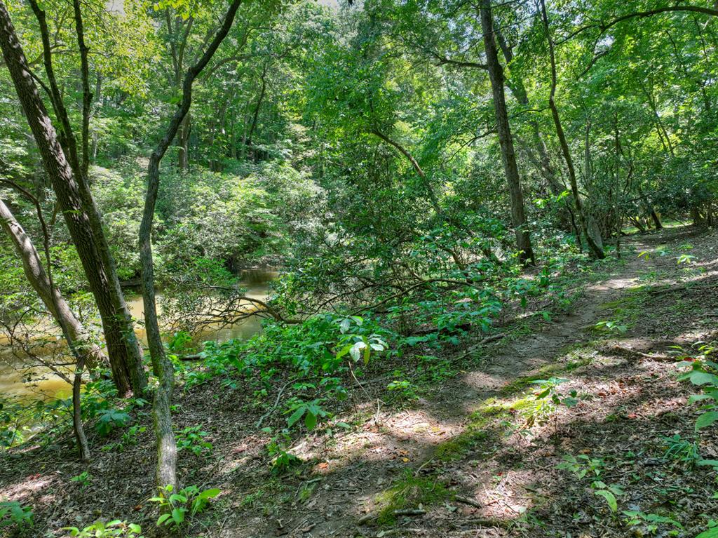 357 Goldmine Trail