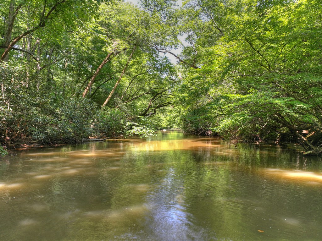 357 Goldmine Trail