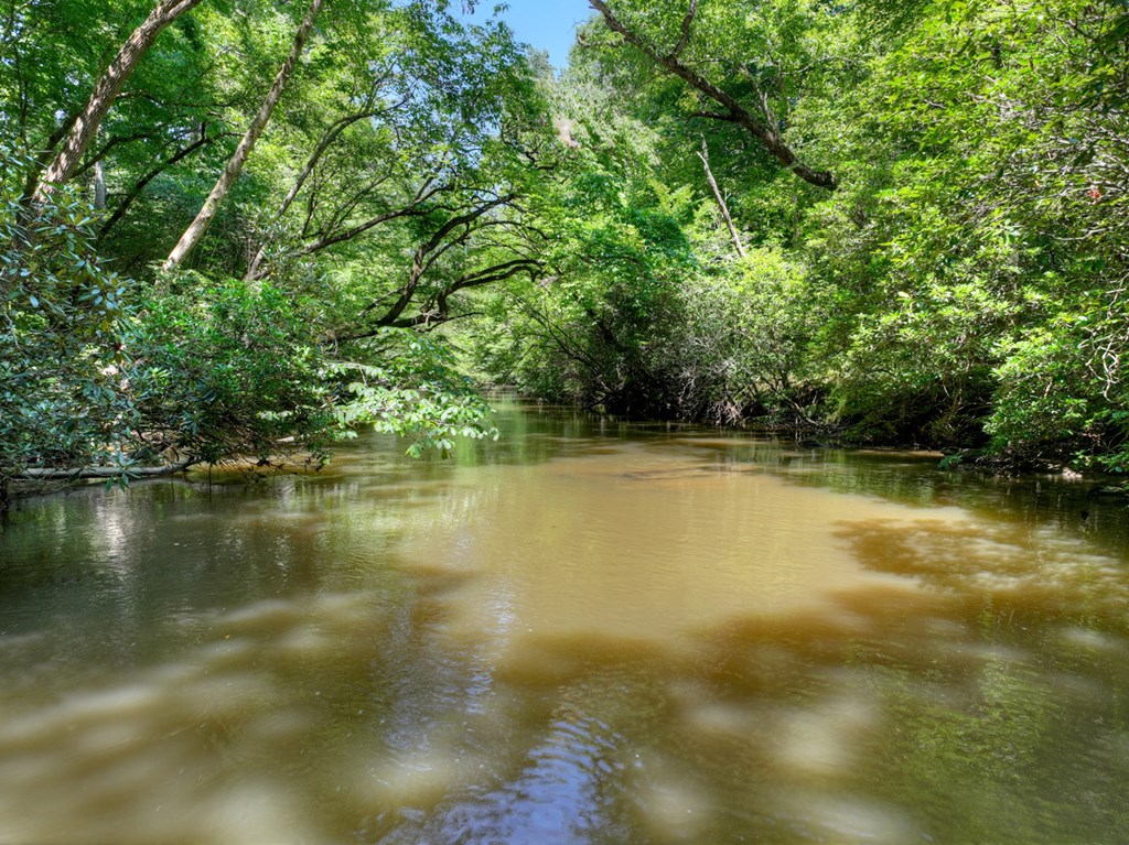 357 Goldmine Trail