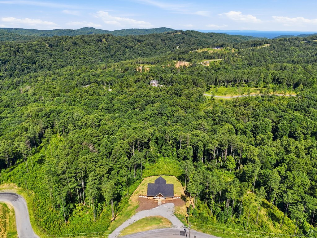 2956 Blalock Mountain Road